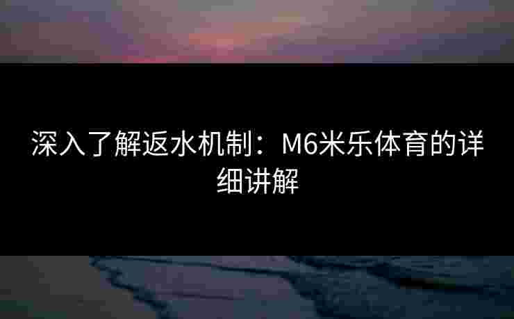 深入了解返水机制：M6米乐体育的详细讲解