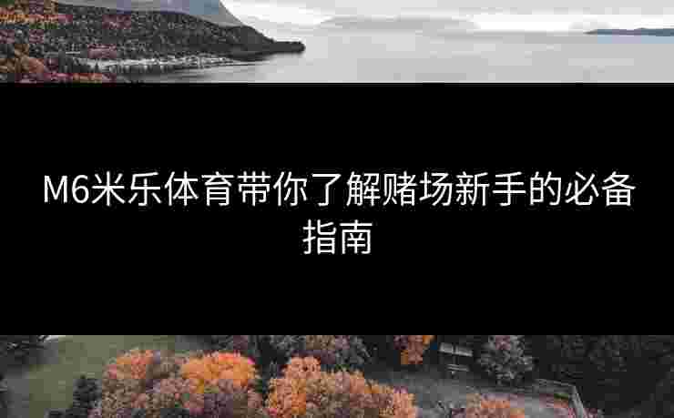 M6米乐体育带你了解赌场新手的必备指南