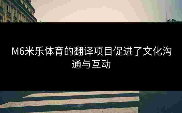 M6米乐体育的翻译项目促进了文化沟通与互动